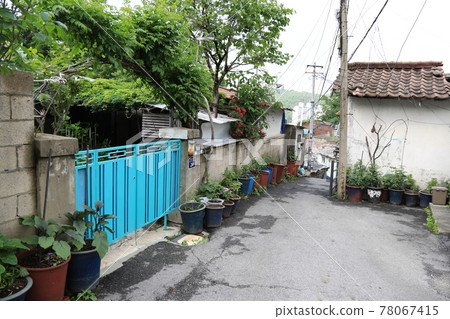 正陵谷,胡同,花園,玫瑰,房屋 正陵谷,胡同,花園,玫瑰,房屋 78067415