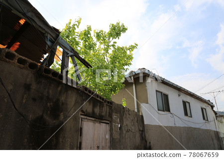 Jeongneunggol. Alley. Leaves. Green. In the garden. Jeongneunggol. Alley. Leaves. Green. In the garden. 78067659