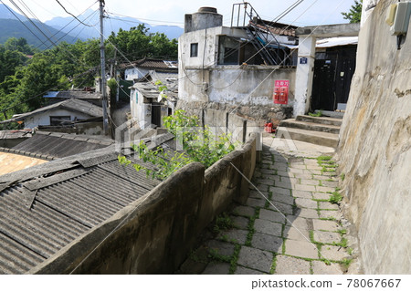 Jeongneunggol. Alley. Leaves. Green. In the garden. 78067667