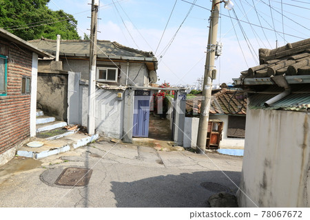 Jeongneunggol，胡同，樹葉，綠色，花園 78067672