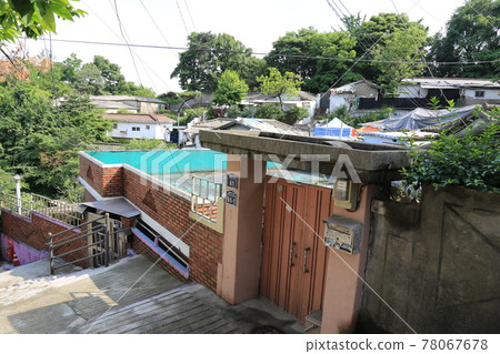 Jeongneunggol. Alley. Leaves. Green. In the garden. 78067678