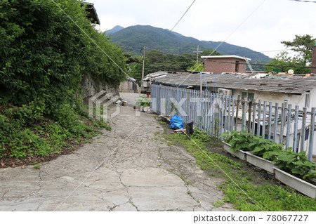 Jeongneunggol. Alley. Leaves. Green. In the garden. Jeongneunggol. Alley. Leaves. Green. In the garden. 78067727