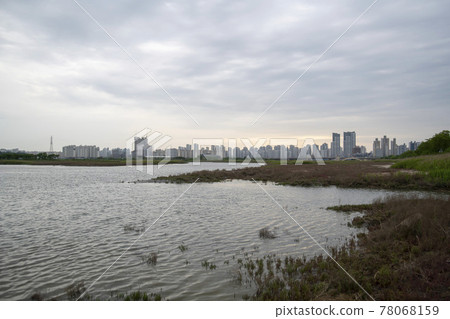 京畿道始興市始興潮汐生態園 京畿道始興市始興潮汐生態園 78068159