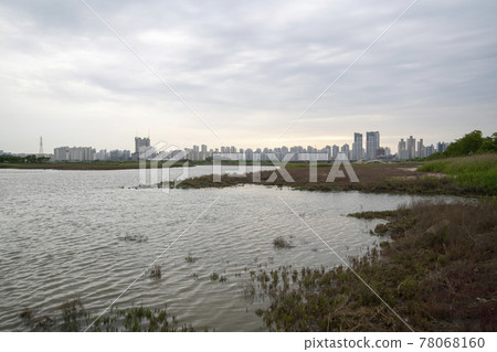 京畿道始興市始興潮汐生態園 京畿道始興市始興潮汐生態園 78068160