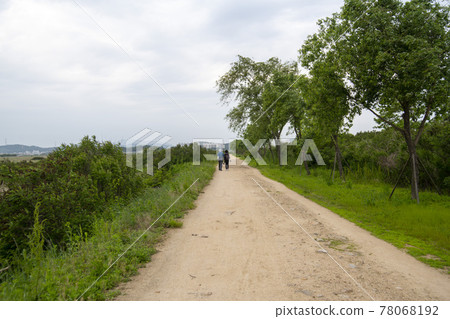 京畿道始興市始興潮汐生態園 78068192