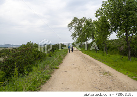 京畿道始興市始興潮汐生態園 京畿道始興市始興潮汐生態園 78068193