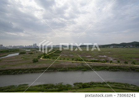 Siheung Tidal-Ecological Park, Siheung City, Gyeonggi-do 78068241
