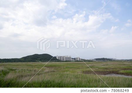 京畿道始興市始興潮汐生態園 78068249