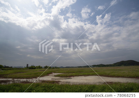 Siheung Tidal-Ecological Park, Siheung City, Gyeonggi-do Siheung Tidal-Ecological Park, Siheung City, Gyeonggi-do 78068255