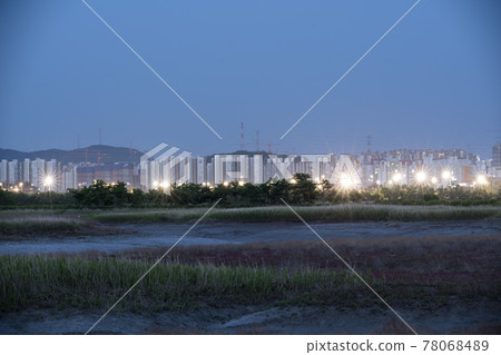 京畿道始興市始興潮汐生態園 78068489