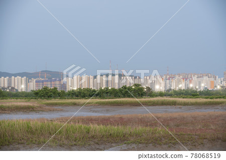 Siheung Tidal-Ecological Park, Siheung City, Gyeonggi-do 78068519