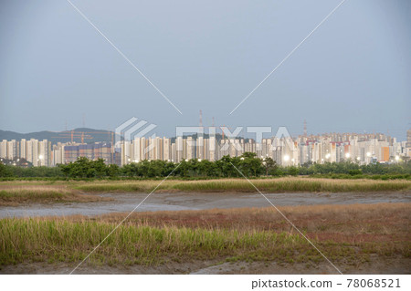 Siheung Tidal-Ecological Park, Siheung City, Gyeonggi-do 78068521