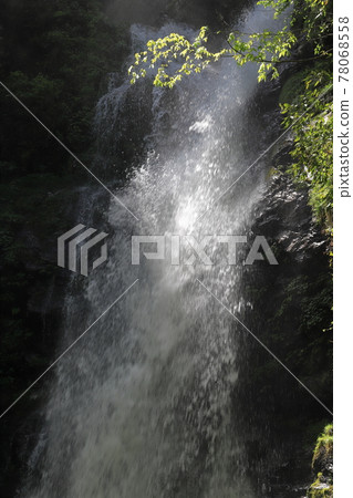 瀨戶瀑布 78068558