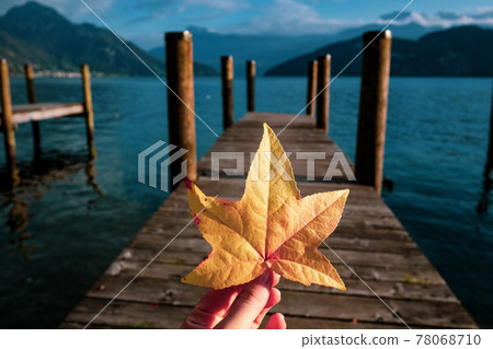 Yellow leaf in a hand at the lake Yellow leaf in a hand at the lake 78068710