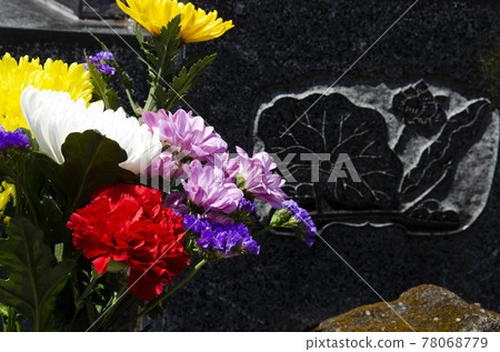 Buddha flower equinoctial week Buddha flower equinoctial week 78068779