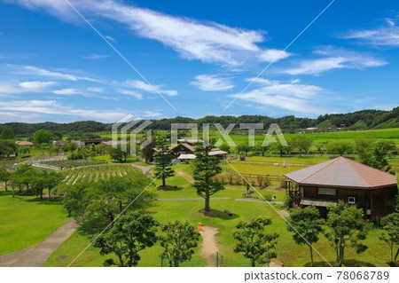 三崎町牧葉之屋形 三崎町牧葉之屋形 78068789