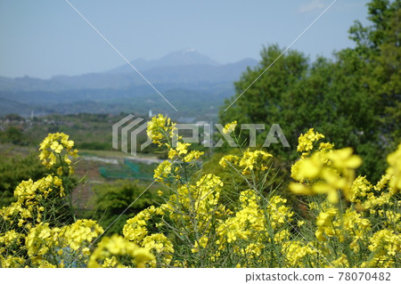 Hanadaka View Flower Hill Landscape 78070482