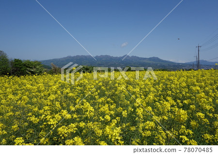 Hanadaka View Flower Hill Landscape Hanadaka View Flower Hill Landscape 78070485