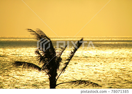 Okinawa, the sea at dusk dyed in gold Okinawa, the sea at dusk dyed in gold 78071385