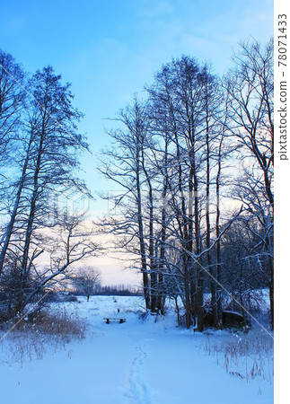 Winter landscape in Latvia, East Europe 78071433