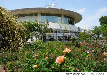 路站 Menuma Agripark 玫瑰園 路站 Menuma Agripark 玫瑰園 78071551