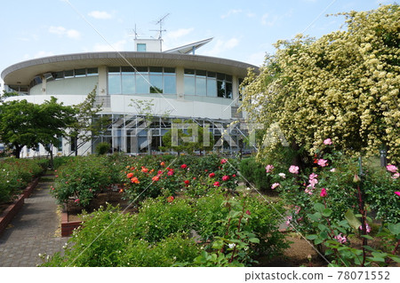 路站 Menuma Agripark 玫瑰園 78071552
