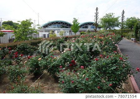 路站 Menuma Agripark 玫瑰園 78071554