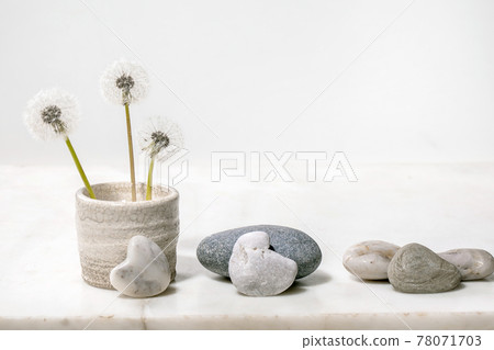 Blooming dandelion flowers in handmade ceramic pot Blooming dandelion flowers in handmade ceramic pot 78071703