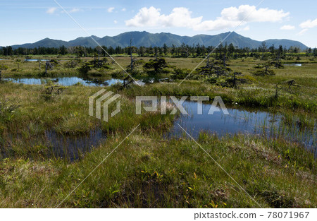 Kuchanbetsunumanohara in early autumn 78071967