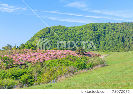 大分縣美山霧島和萬年山 大分縣美山霧島和萬年山 78072075