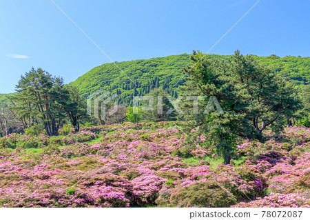 大分縣美山霧島萬年山 大分縣美山霧島萬年山 78072087