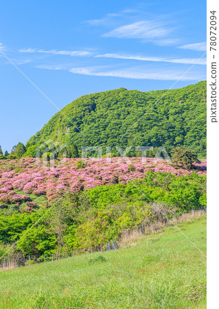 Miyama Kirishima and Mt. Mannen, Oita Prefecture 78072094
