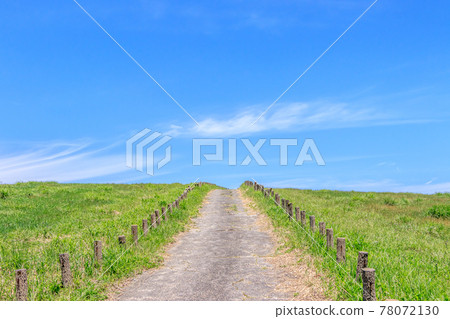 Mountain trail leading to Mt. Mannen (ranch) Oita Prefecture 78072130
