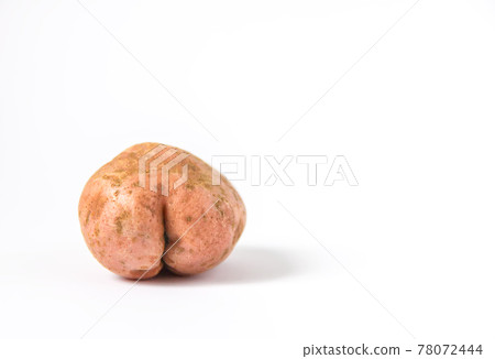 Raw funny potato in a shape of ass. Raw funny potato in a shape of ass. 78072444