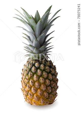 Pineapple slices isolated on a white background. 78073241