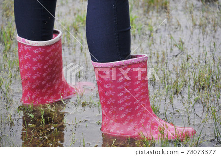 Walk in the rain with boots Walk in the rain with boots 78073377