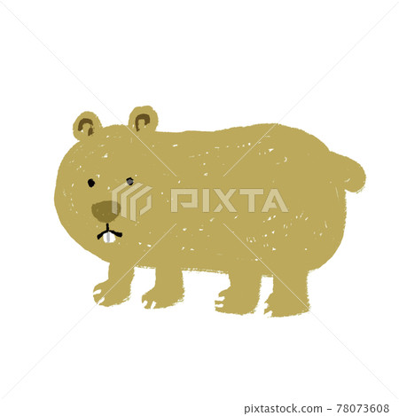 袋熊澳大利亞動物 78073608