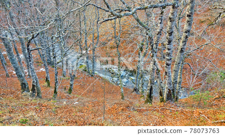 Petrechema River, Valles Occidentales Natural Park, Spain Petrechema River, Valles Occidentales Natural Park, Spain 78073763
