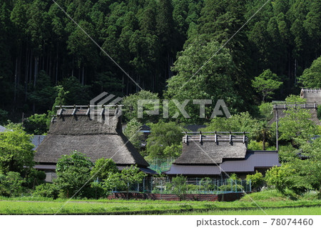 Miyama rice planting and thatched private house [Kyoto Prefecture] 78074460
