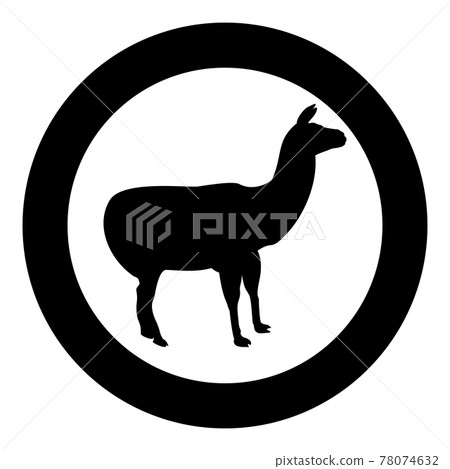 Alpaca Llama Lama Guanaco silhouette in circle Alpaca Llama Lama Guanaco silhouette in circle 78074632