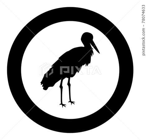 Stork Bird standing Crane Heron silhouette in Stork Bird standing Crane Heron silhouette in 78074633
