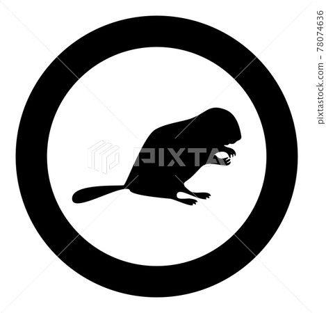 Beaver animal Rodent stand silhouette in circle Beaver animal Rodent stand silhouette in circle 78074636