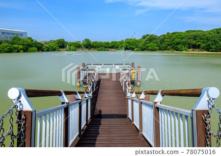 大部市二津池公園的風景 大部市二津池公園的風景 78075016