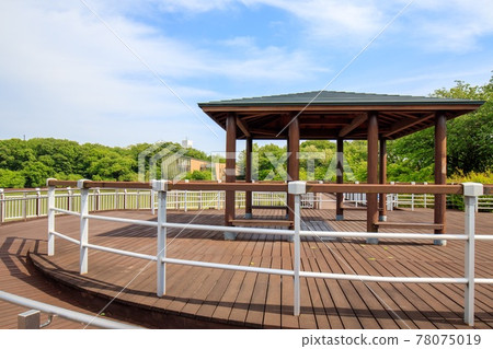 Scenery of Futatsuike Park in Obu City Scenery of Futatsuike Park in Obu City 78075019