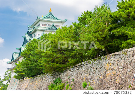 名古屋城堡 78075382