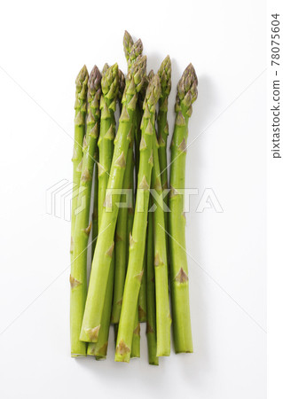 在白色背景安置的北海道綠色蘆筍 78075604