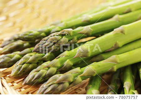 北海道綠蘆筍盛在漏勺中 78075757