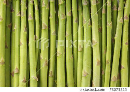 Fresh and delicious Hokkaido green asparagus 78075813