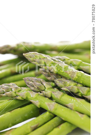 Fresh and delicious Hokkaido green asparagus 78075829
