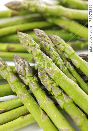 新鮮美味的北海道綠蘆筍 新鮮美味的北海道綠蘆筍 78075832